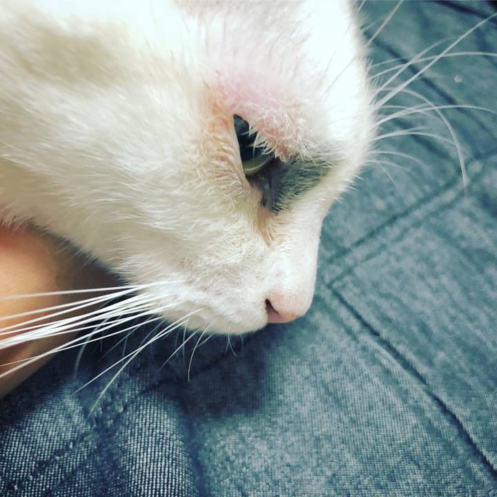 7b7c47df fd0e 4162 8b75 a13f20e2eec5 1538524778743