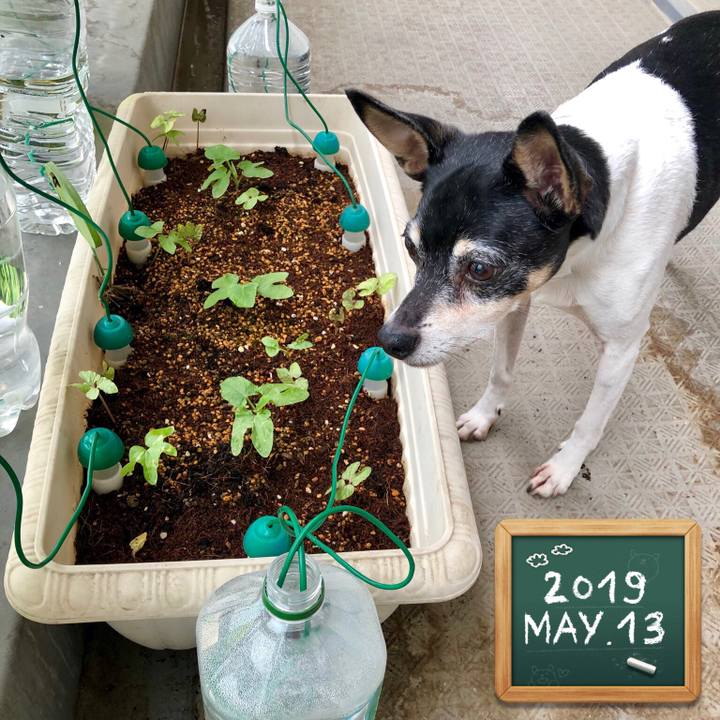 7b7c6a5e be14 485d b8f9 0cb9bc2665a5 1557872062905