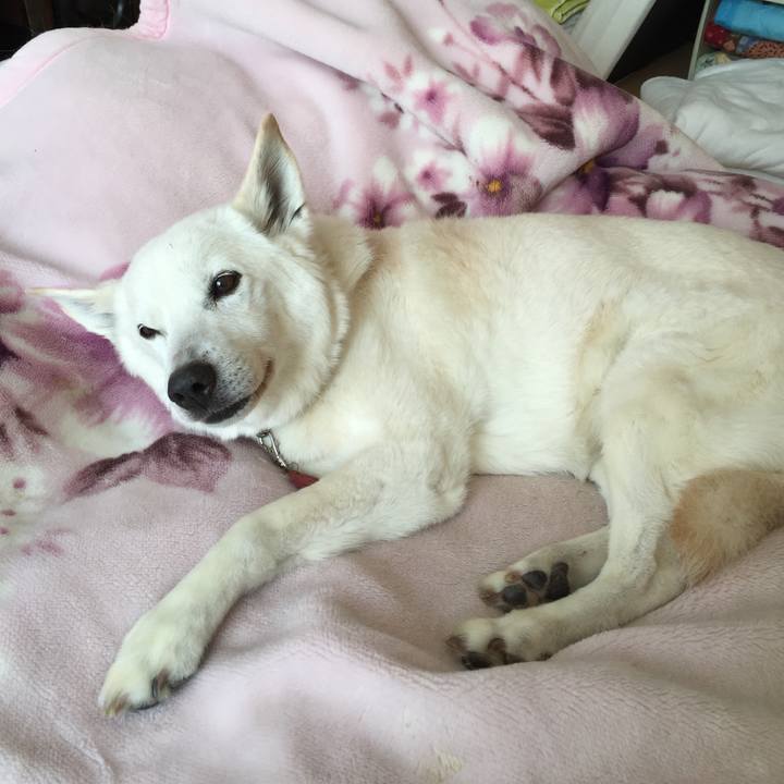 7b7cb8dc 57d5 4a59 b8e5 dbb40191efa2 1569231964845