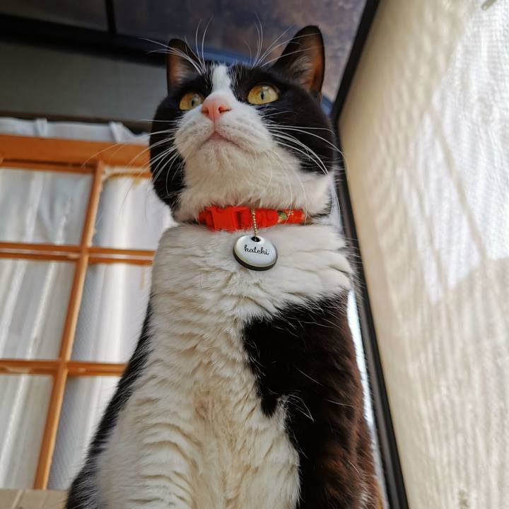 7b7ccebd 2ab2 43ff b27d ed38a998a417 1675745900322