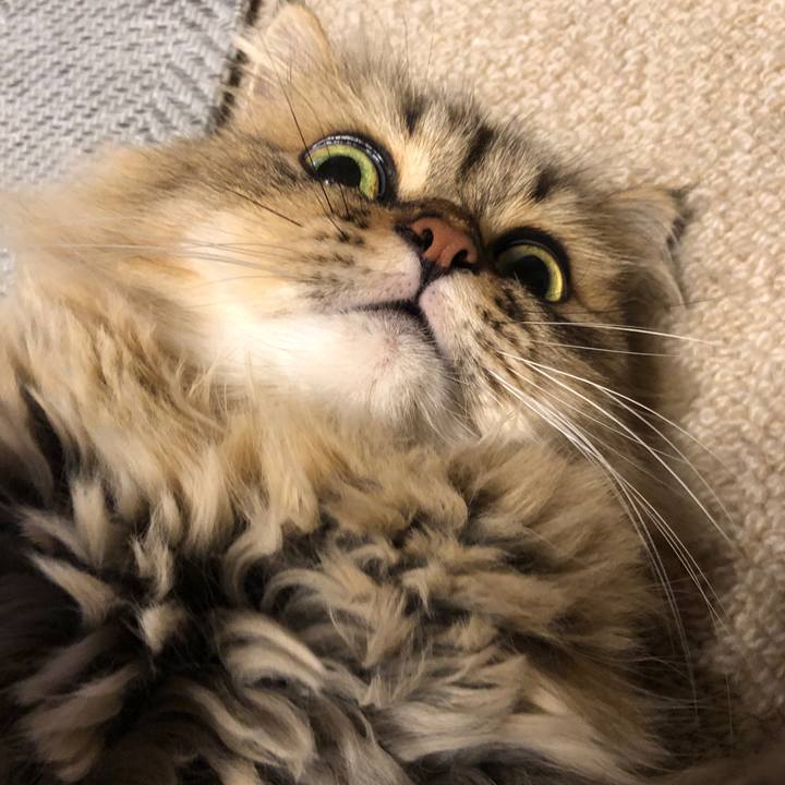 7b7ceb89 bb4d 48e0 a3e9 be804f33ae6a 1567245992201