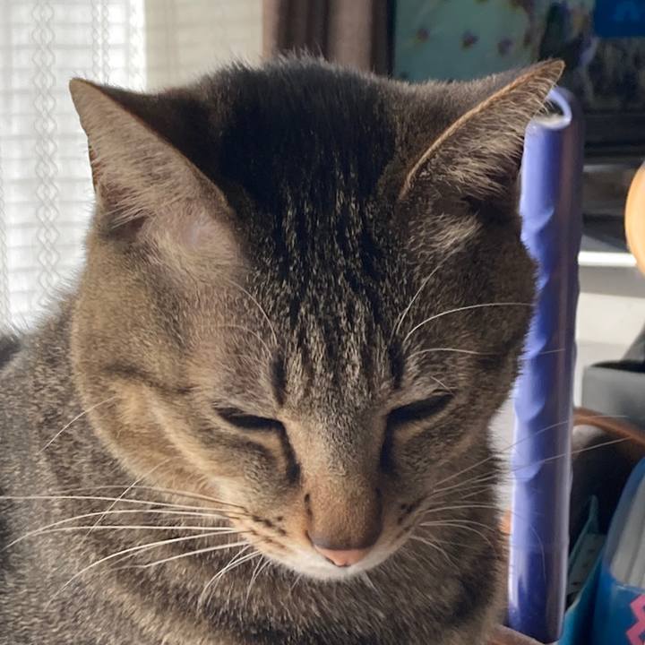 7b7cf161 6f1b 4632 854c 24fdacb2b29d 1770161091969