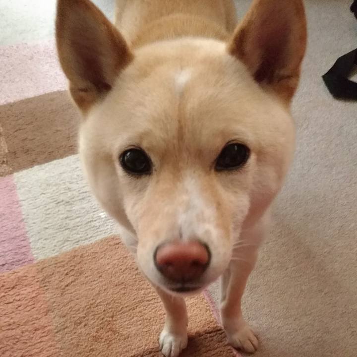 7b7d0ed0 7bca 402d 9693 8894242cd383 1558215879913