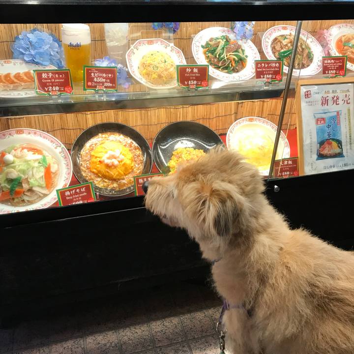 7b7d13d9 86ed 4c52 83cd a7eb170c5025 1566564108404