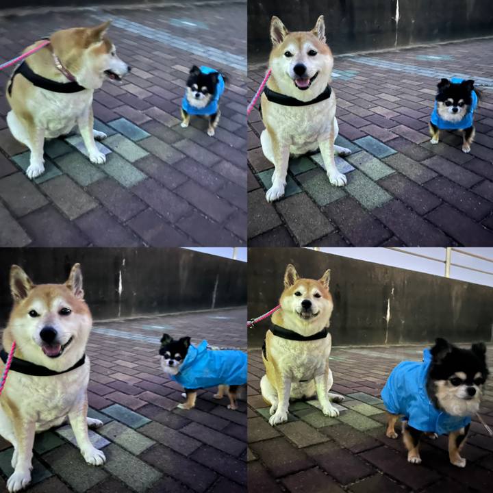 7b7d1885 9367 4de4 94b2 e0b94ded8469 1699260638513