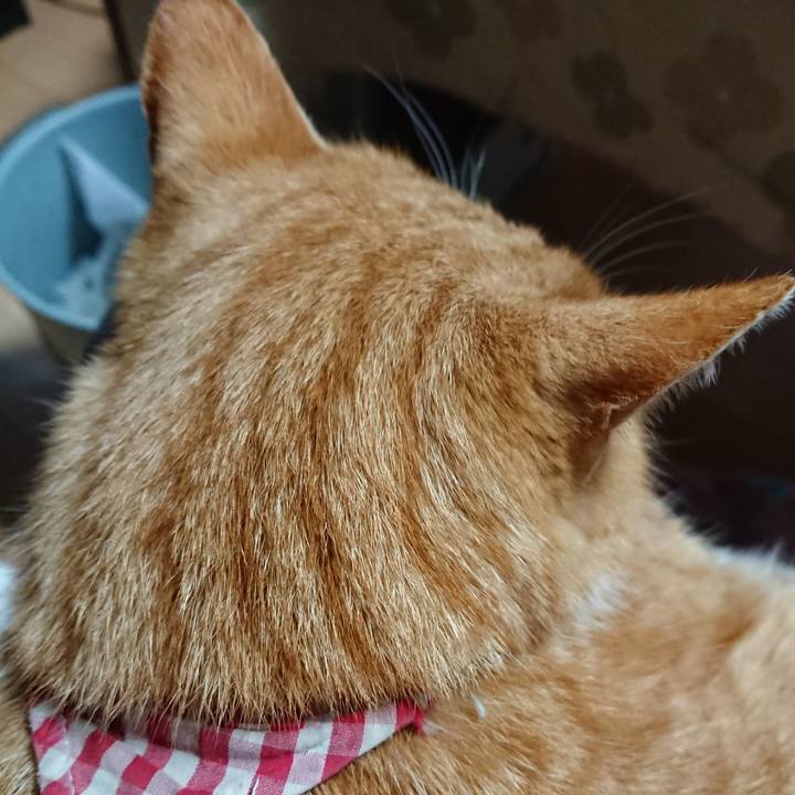 7b7d2b20 14eb 4d5f 98d3 a80b14570367 1607201210984