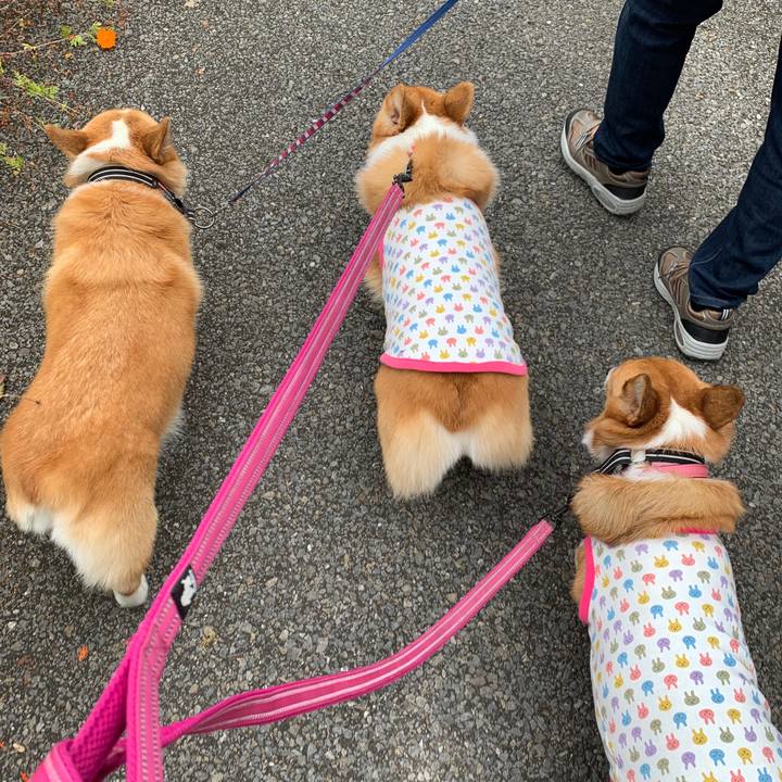 7b7d83fc c9a5 4edb a615 aa47a15c6346 1570082379052