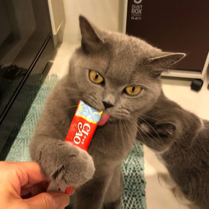 7b7d8f8f e9f5 4edd a009 e24ad07814b4 1527392646024