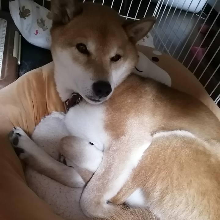 7b7d9708 b337 422b 8ff2 a867a12c9eaa 1644249591211