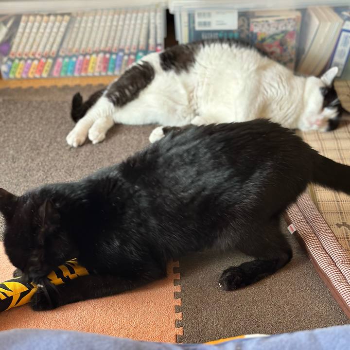 7b7da7dd 53b7 438f 8e79 6efb98dec278 1704939325250