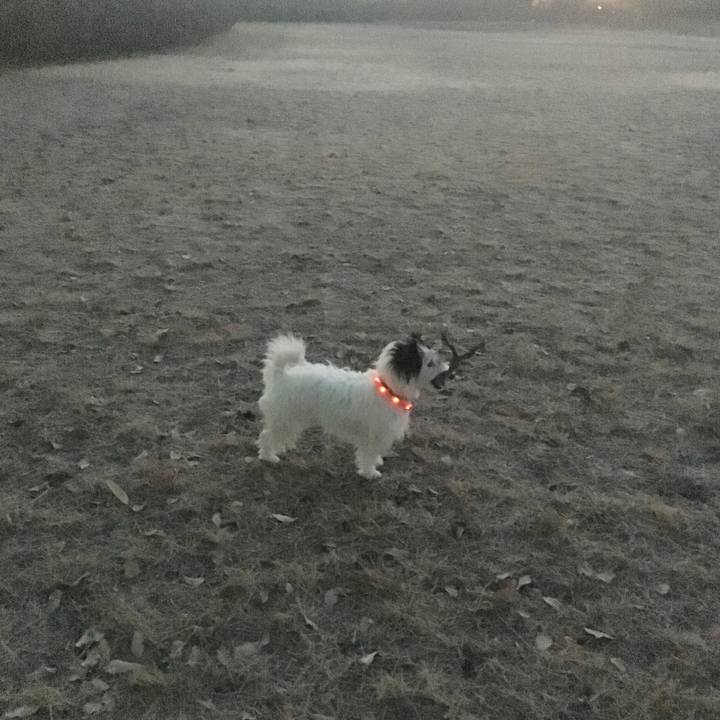 7b7dc9bb 453e 4947 b936 ae3db3da2b18 1516140554886