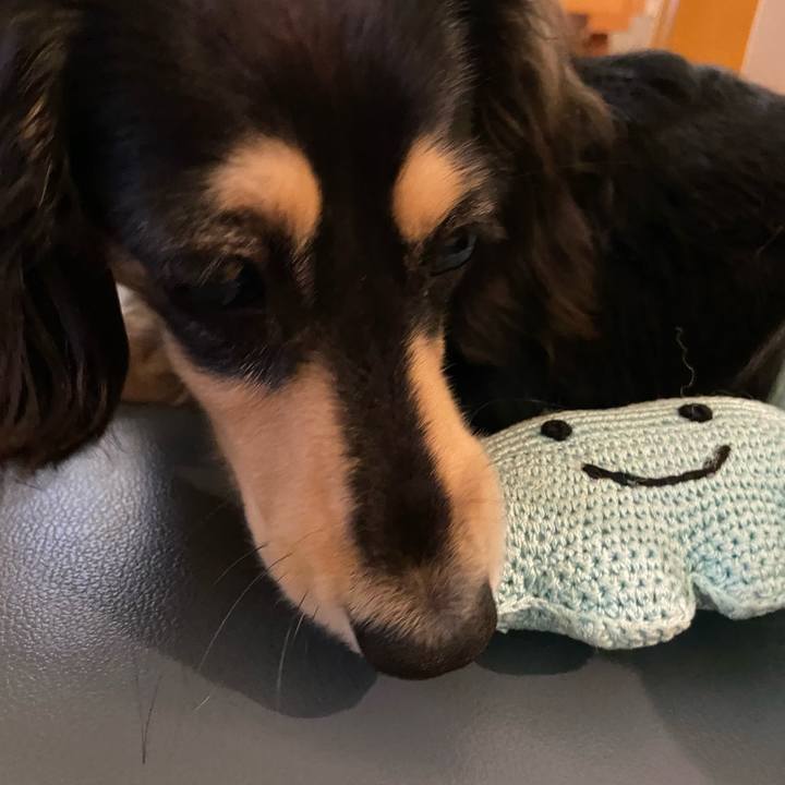 7b7ddc48 f40e 4375 81af 3c3b86a05c22 1685932571266