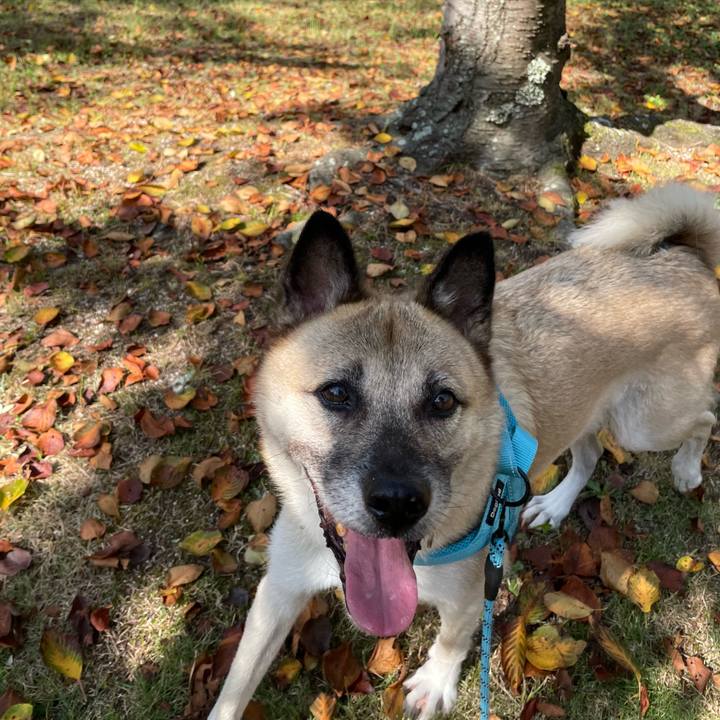 7b7e0b44 dfa6 459e a6fb a12135742e10 1727598167935