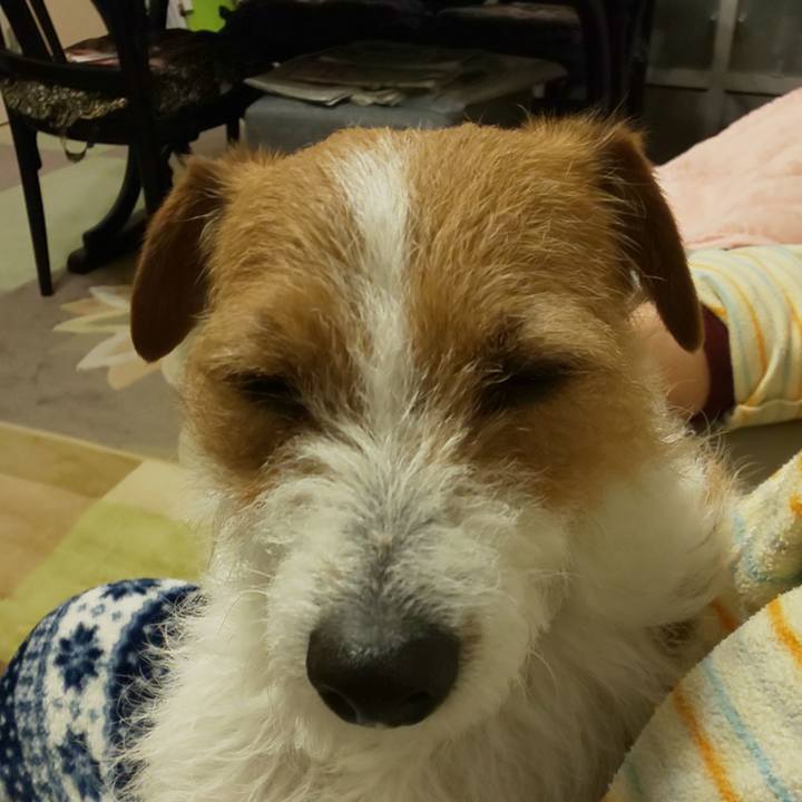 7b7e3b78 6472 4794 8228 de2c65d1ed20 1555420868882