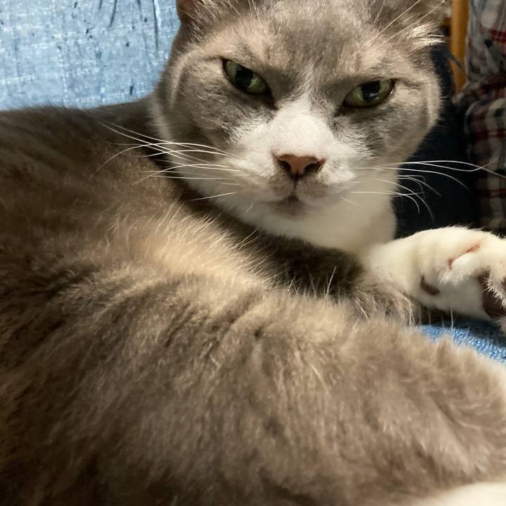 7b7e5ff2 5042 4cac ae5a 7b7f662b3538 1683291021319