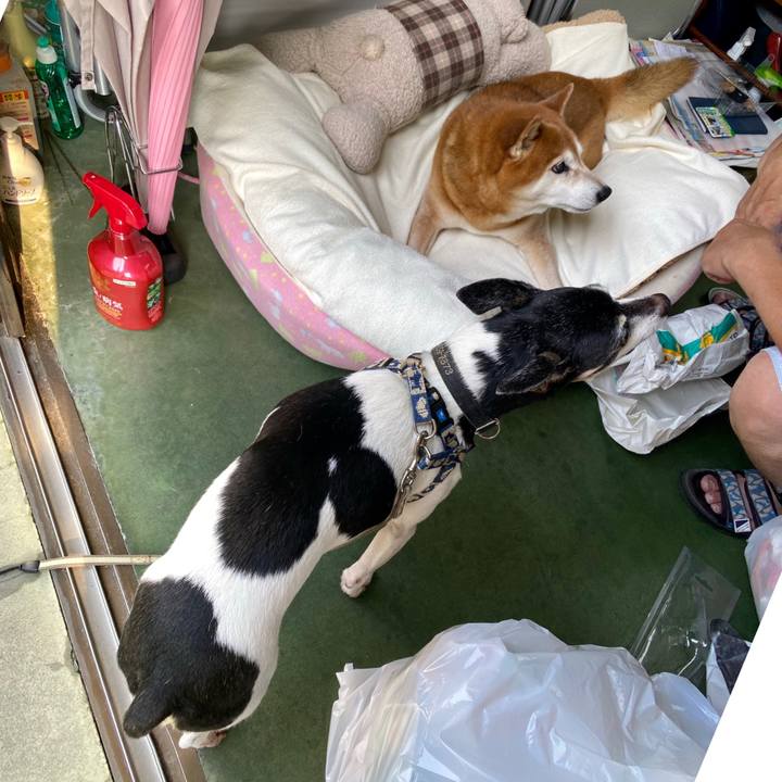 7b7ea459 bec8 4254 9174 8f4185799483 1597062592315