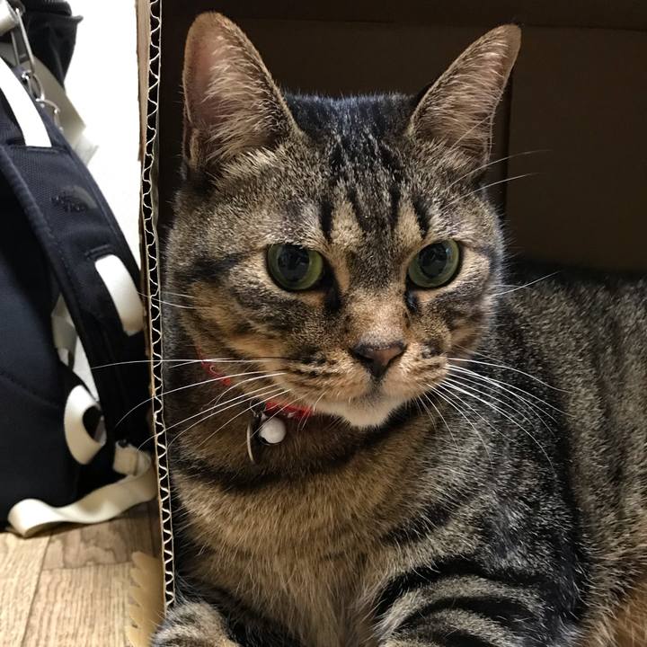 7b7f13b2 3907 4595 b38a 1574ffd96e5b 1644668112160