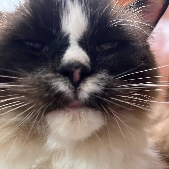 7b7f37ed 32f1 40fe 9f39 0b4ce129e7b4 1749823399624