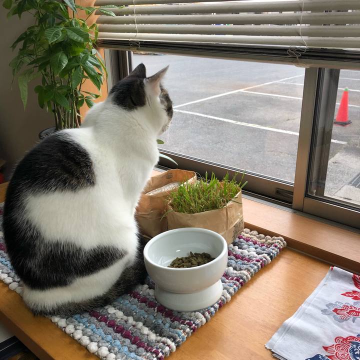 7b7f410c e596 4bab a525 46c89f1f21bb 1680652371123