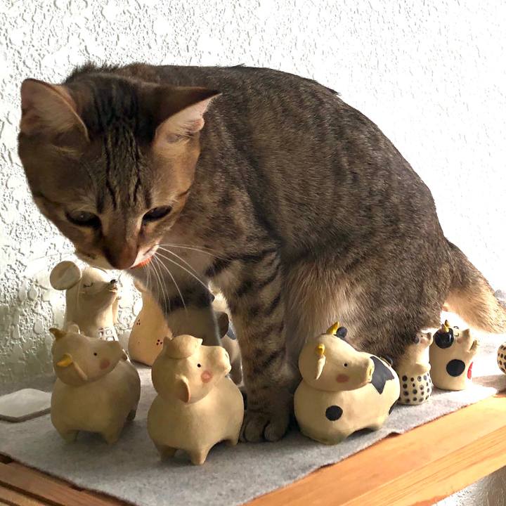 7b7f9c9f 8310 4998 9f74 e91dcb1f1e11 1605495966792