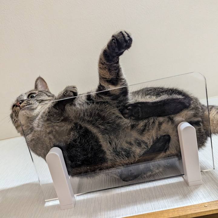 7b800375 50df 43ab 8d33 b9652e3090b9 1745044670133