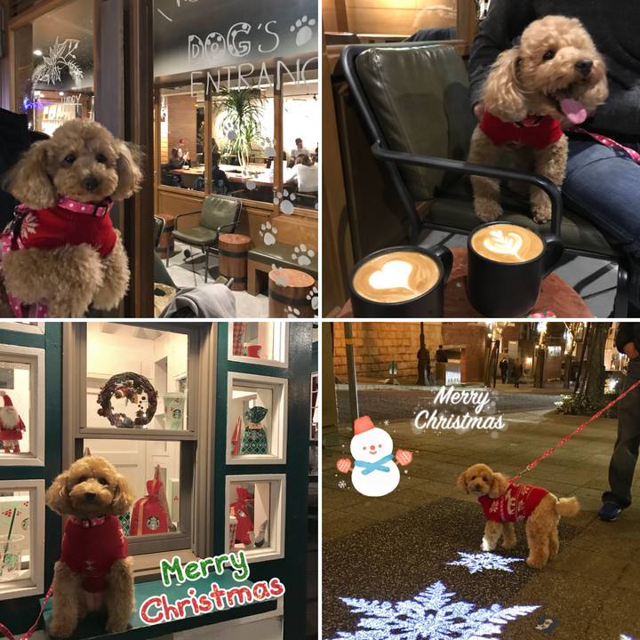 7b80111c fb40 43cf 9ec4 eb88f9aad1c6 1545661740698