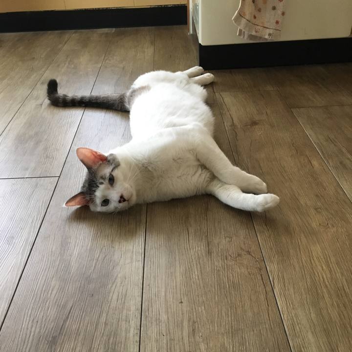 7b802cc4 01a6 401b 9643 17f420816072 1560997371131