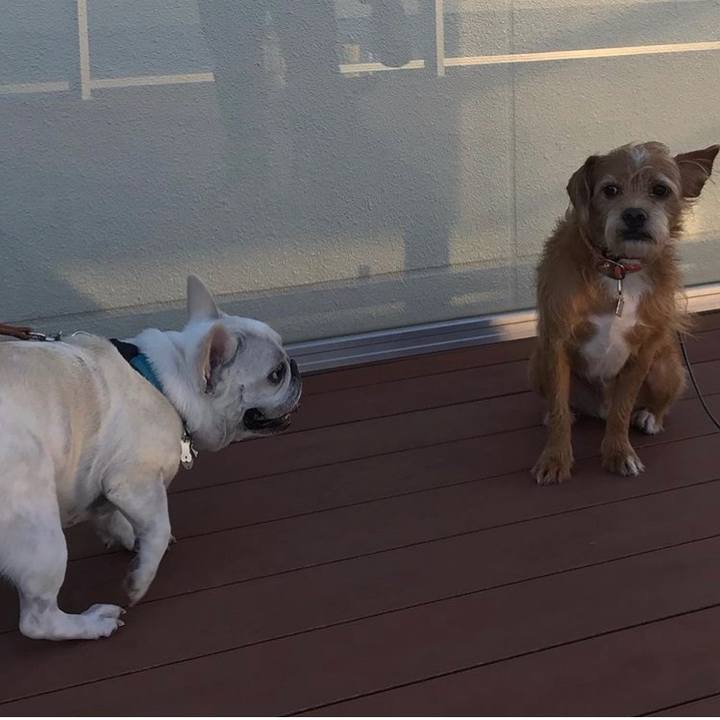 7b804c58 ddc2 4378 b0e0 32d575702647 1654424811460