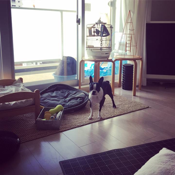 7b805278 144e 42bc bd79 0a476195e55f 1536288260106