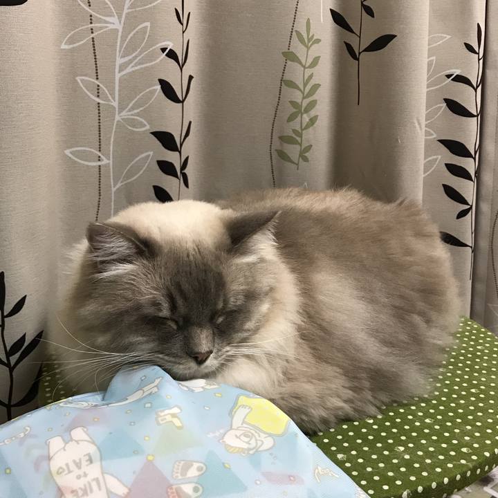 7b807c6b 7594 499d ba90 390bcbf0623c 1509708388306