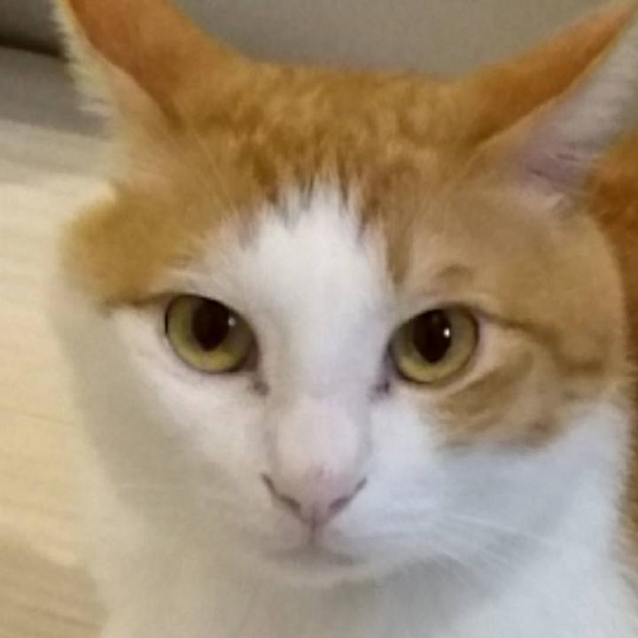 7b807f07 84c8 4304 96c0 01407c2feb45 1531753134670