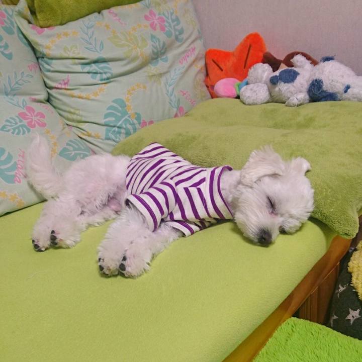 7b809238 0be1 449b 999d 1a0914fe576e 1520163081634