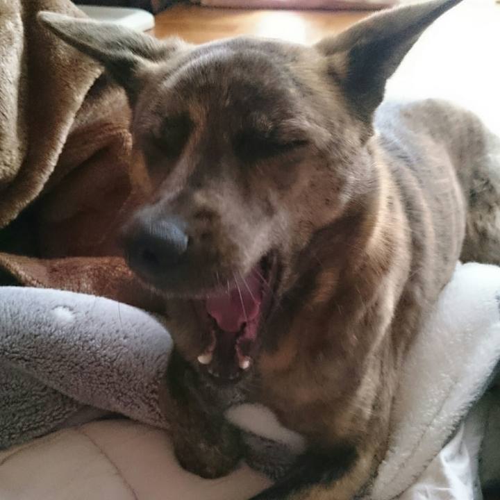 7b80c170 836c 4e64 9c78 ee873526a6b8 1513473767830