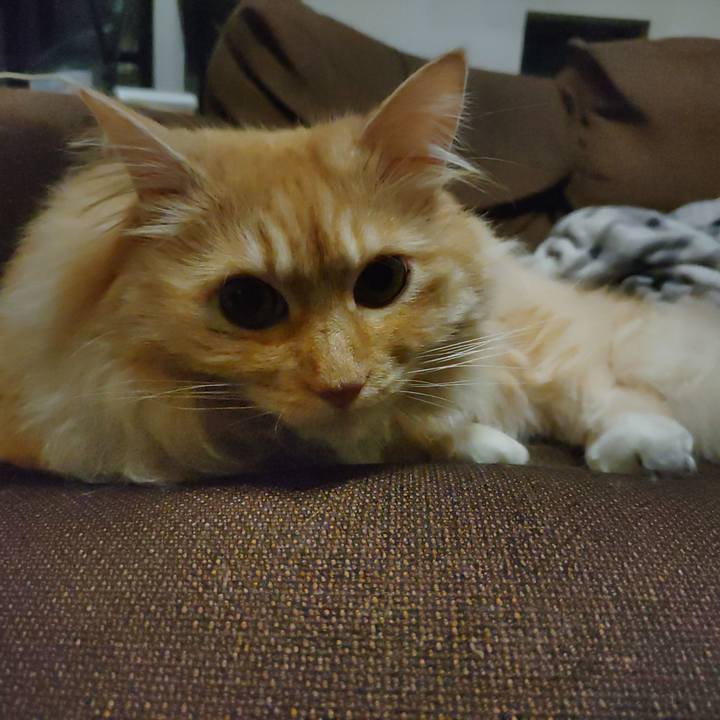 7b80efb9 40be 4f8e a42f 1f778a69686d 1719316165123