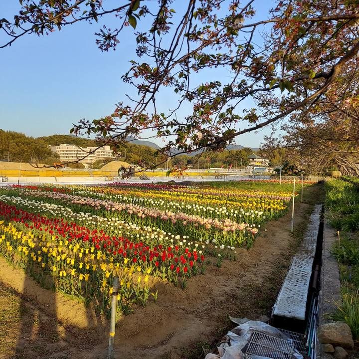 7b811987 491c 4d77 9f59 ae0ba649843f 1649509551601