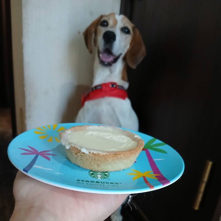 7b814365 a391 4213 9593 7f13b12220d1 1758098857233