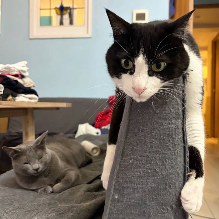 7b81d8c7 d42e 4ab5 bc57 076a7d7b77b4 1775558051831