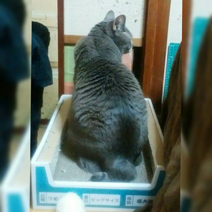 7b81e9b7 d4a6 4df6 a72f 0ead7fd17a1c 1582378450191