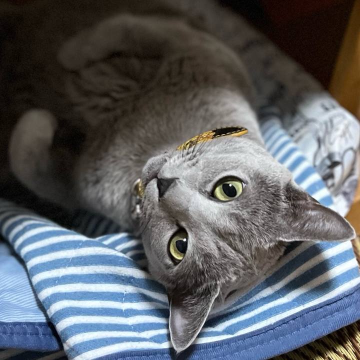 7b820e3c ad2a 4913 b52d 67d9c30240d5 1666393480370