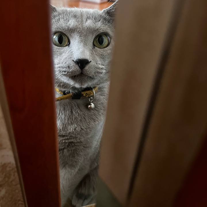 7b821b03 3670 4424 801e b278aef5acc2 1693917976214