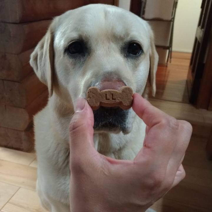 7b82460e ae67 4ea1 bc69 09e426aacbce 1589884181248