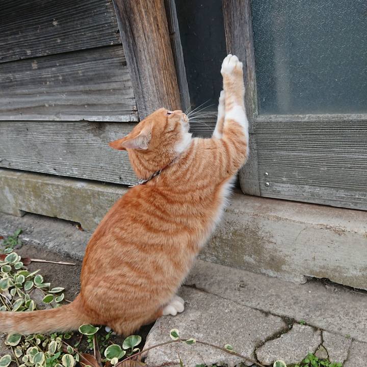 7b826cec 6474 4fe4 a8a4 a6fa2c2eb6d5 1574493872221