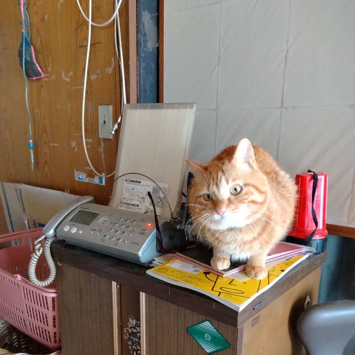 7b83510b b6f8 41da a4e0 0c3eb628ae97 1709344562287