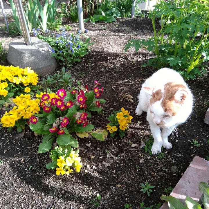 7b838f9d 9536 43a9 8f06 162c72263029 1620546561467