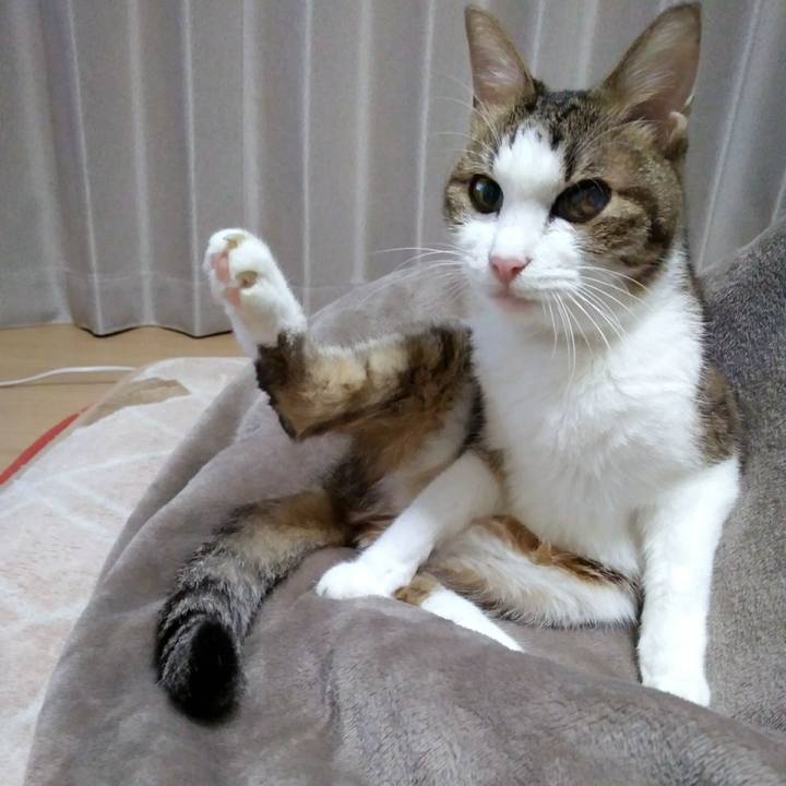 7b83b885 7127 4fe4 9fb7 8c7e11cf3c47 1540641689828