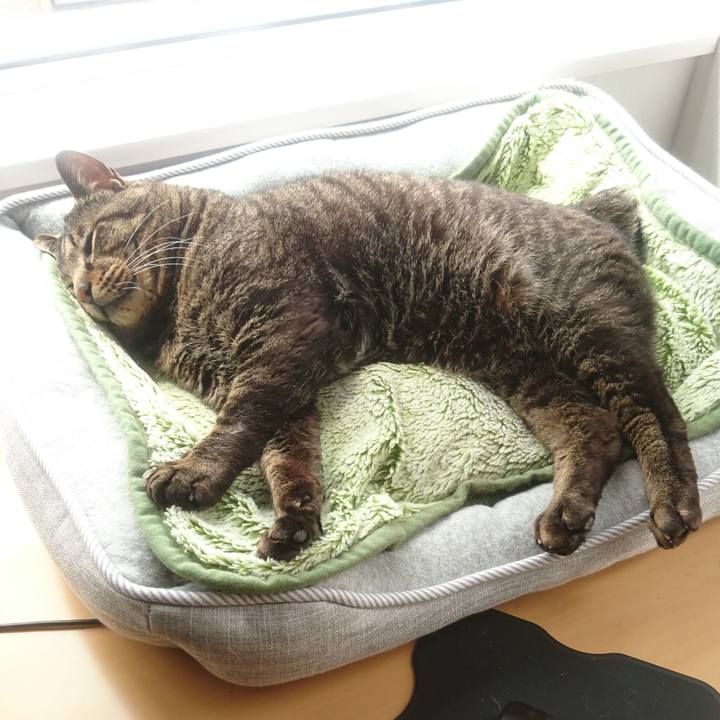 7b83bdc6 d01d 4196 809b 3b7aafc7b40f 1526503621221