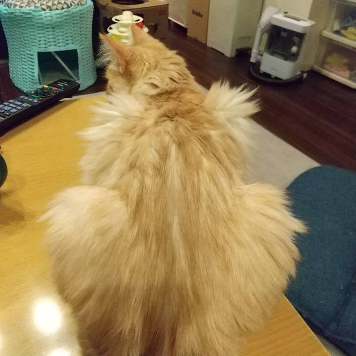 7b8490c3 d607 438e 8e42 846c9671cc59 1622803599565