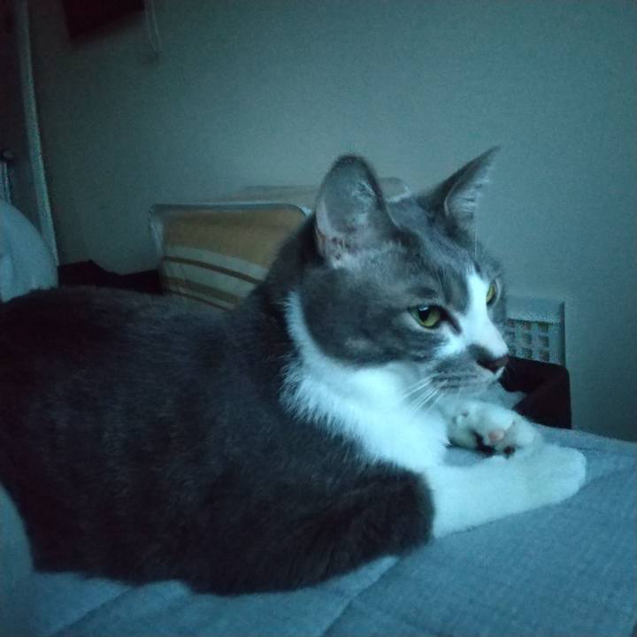 7b84a4c0 891e 4a8b 815a 9def93d3798f 1616500765298