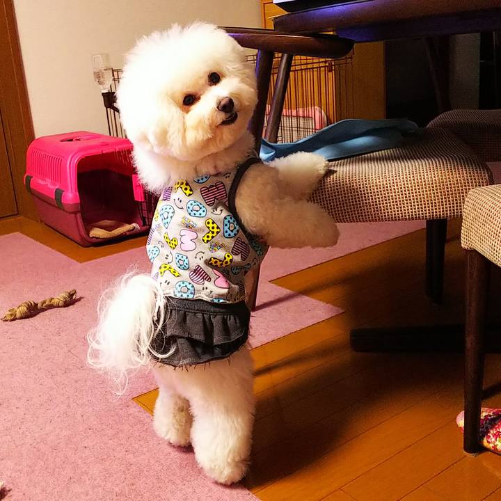 7b84a76e b246 420a bf24 e8bd3273b6d5 1551264432077