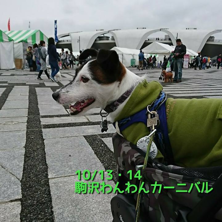 7b84e001 ffd3 4d2a b76c 9b35c02fa539 1537192744505